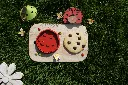 DSC03034.webp